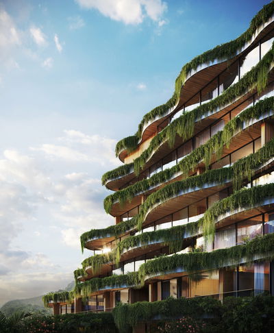 Layan Verde - Image 4