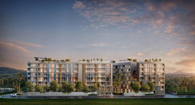 Siamese-Bangtao - Image 3