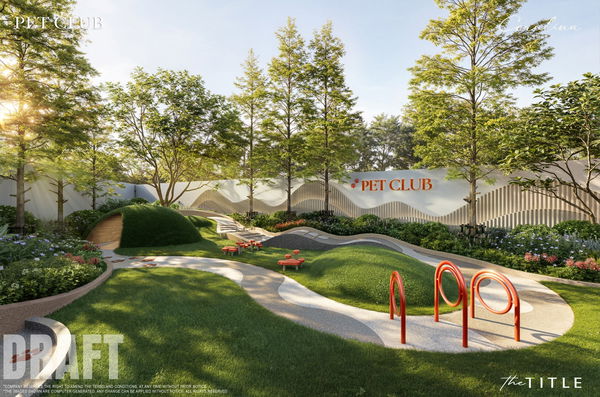 Coralina Kamala - Phuket - Image 2